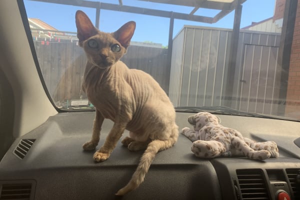 Melbourne, Victoria, Australia