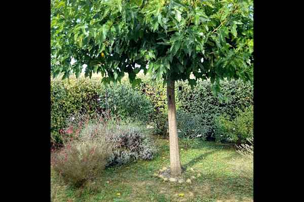 Salles-sur-l’Hers, Occitania, France