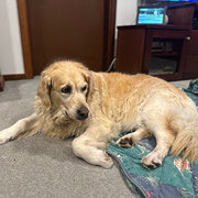 City Beach, Western Australia, Australia