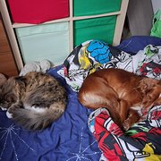 Camberley, South East England, UK