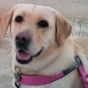 Burleigh Waters, Queensland, Australia