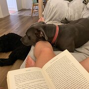 Sandy Beach, New South Wales, Australia