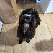 Korumburra, Victoria, Australia