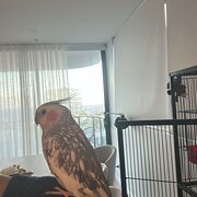 Palm Beach, Queensland, Australia