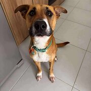 South Yunderup, Western Australia, Australia