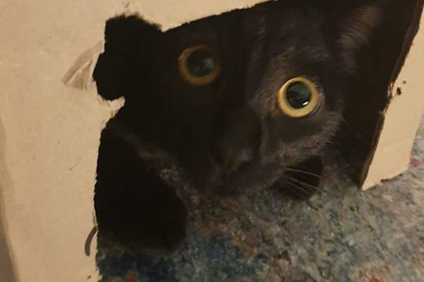 Paris, Ile-de-France, France