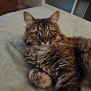 Baldivis, Western Australia, Australia