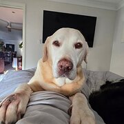 Wyee, New South Wales, Australia