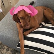 Adelaide, South Australia, Australia