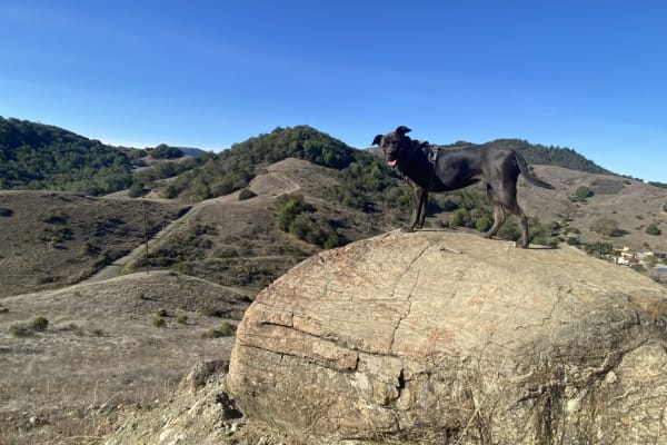 San Rafael, California, United States