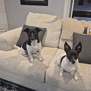 Yanchep, Western Australia, Australia