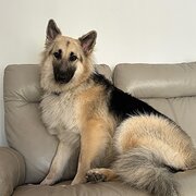 Karana Downs, Queensland, Australia