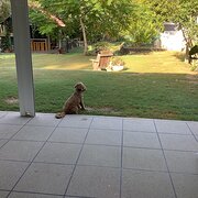 Greenbank, Queensland, Australia