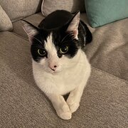 Cranbourne, Victoria, Australia