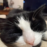 Reservoir, Victoria, Australia