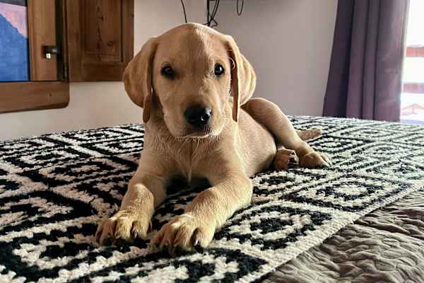 Bagnes, Valais, Switzerland