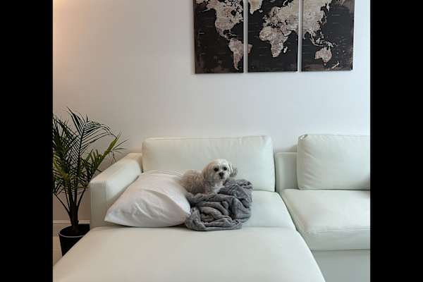 Miami, Florida, United States