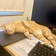 Kensington, Victoria, Australia