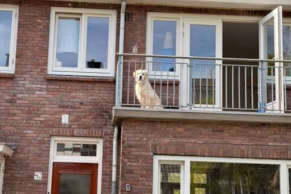 Haarlem, North Holland, Netherlands