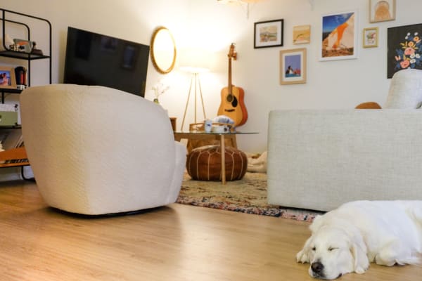 Culver City, California, United States