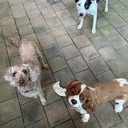 Howard Springs, Northern Territory, Australia