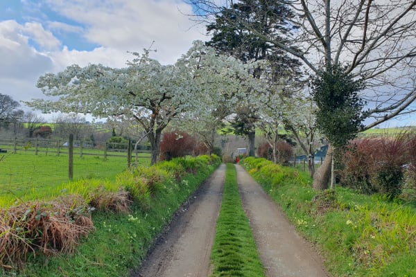 Gorey, Leinster, Ireland