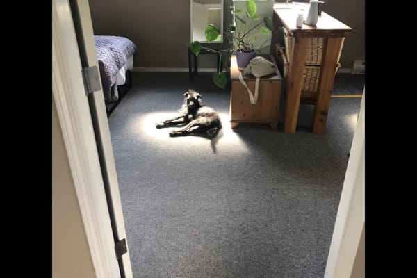 Tofino, British Columbia, Canada