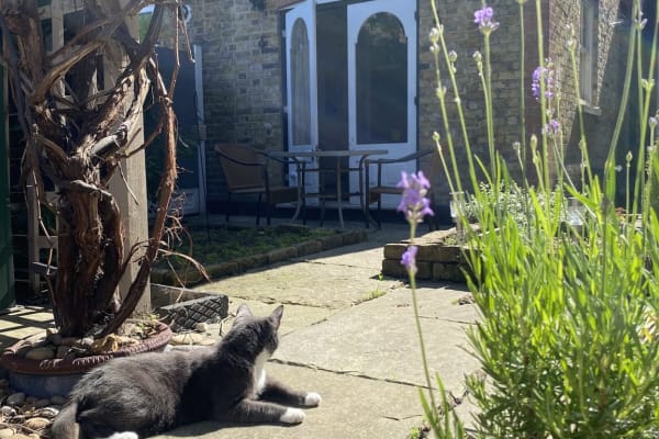 Walthamstow, England, United Kingdom