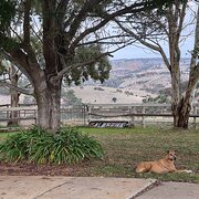Kalbeeba, South Australia, Australia