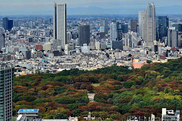 Tokyo, Tokyo, Japan