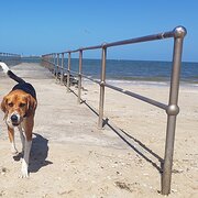 Hampton, Victoria, Australia