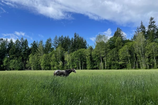 Nanaimo, British Columbia, Canada