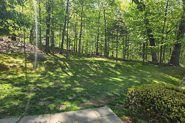 Mamaroneck, New York, United States