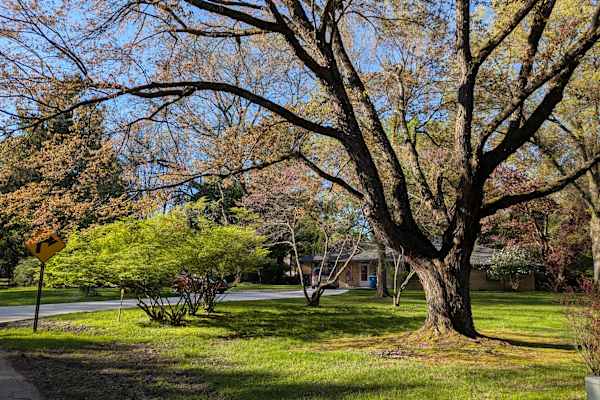Kalamazoo, Michigan, United States
