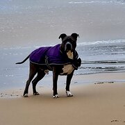 Mallacoota, Victoria, Australia