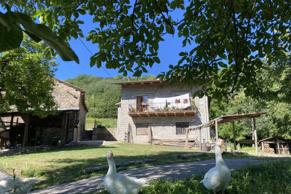 Castelnuovo di Garfagnana, Tuscany, Italy