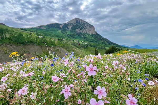 Crested Butte, Colorado, United States
