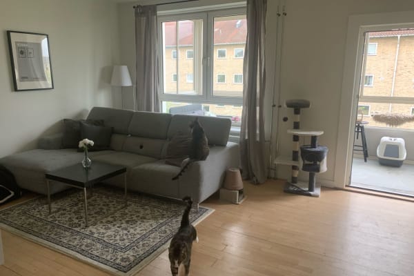Copenhagen, Capital Region, Denmark