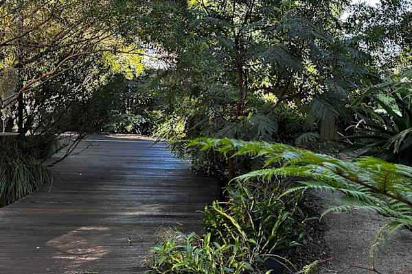 Earlwood, New South Wales, Australia