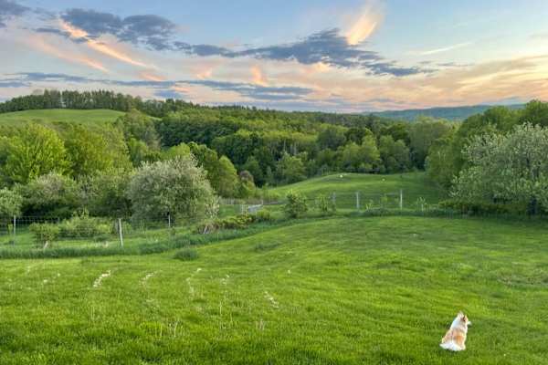 East Topsham, Vermont, United States