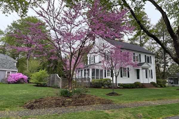 Needham, Massachusetts, United States