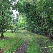 Innisfail, Queensland, Australia