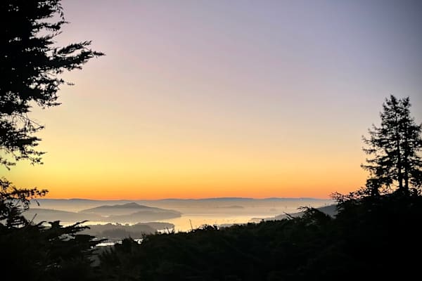 Mill Valley, California, United States