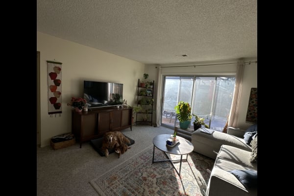 Denver, Colorado, United States