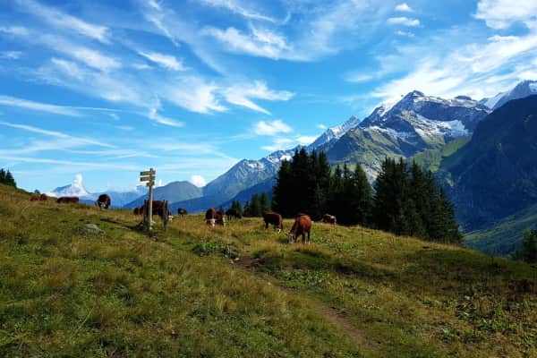 Saint-Gervais-les-Bains, Auvergne-Rhône-Alpes, France