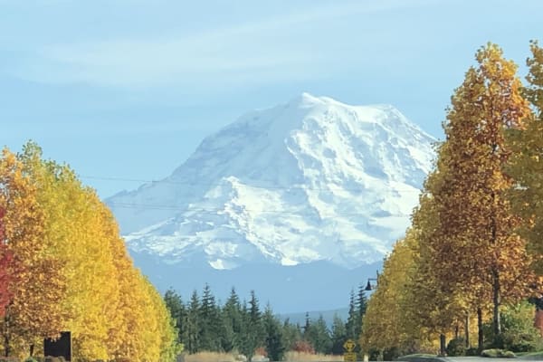 Bonney Lake, Washington, United States