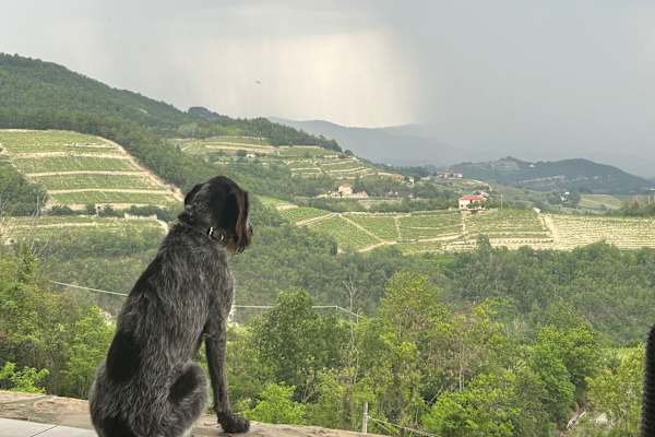 Vesime, Piedmont, Italy