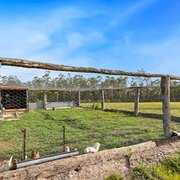 West Bungawalbin, Northern Rivers, New South Wales, Australia