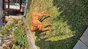 Bradshaw, Rural, Halifax, West Yorkshire, Halifax England