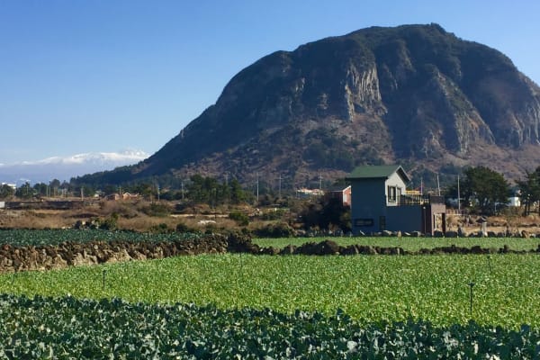 Sagye-ri, Jeju-do, South Korea